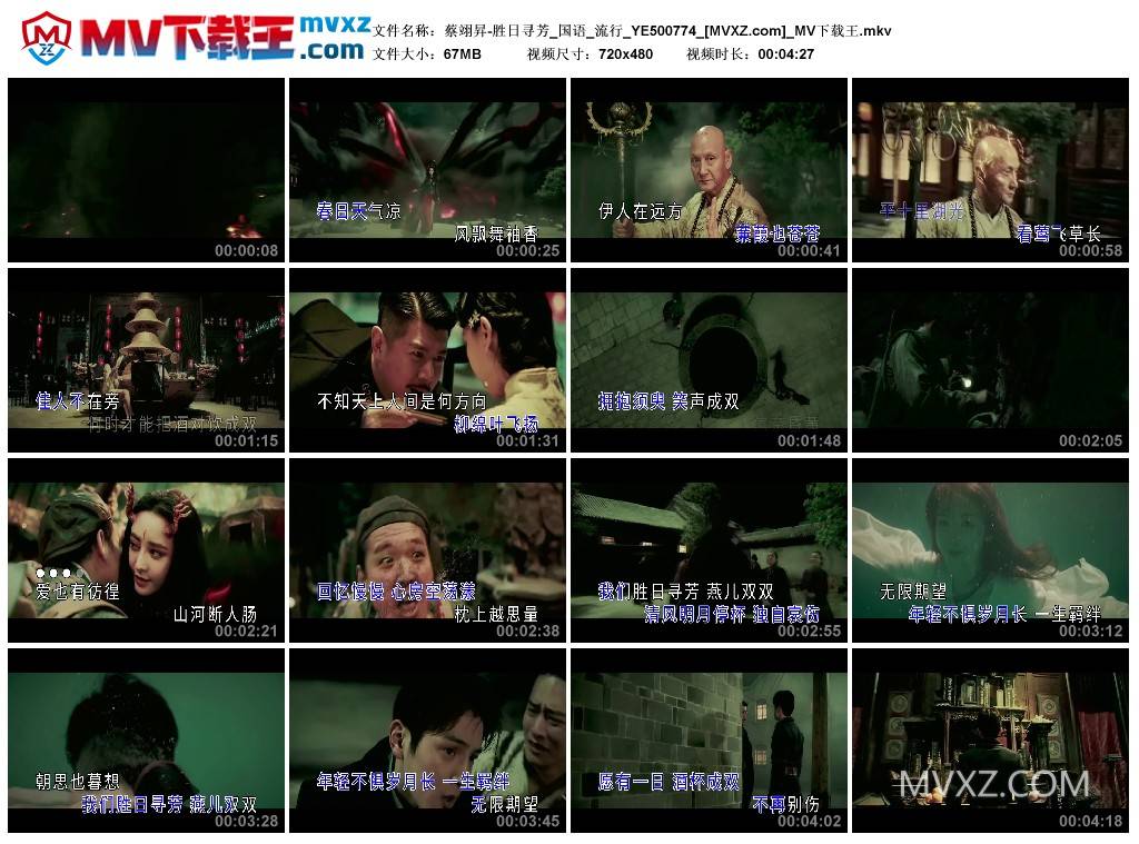 蔡翊昇-胜日寻芳_国语_流行_YE500774